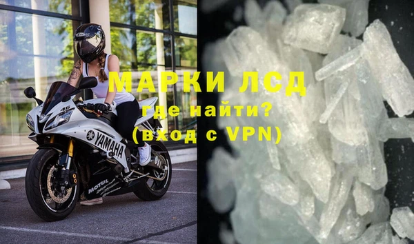 стафф Алзамай