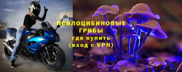 тгк Абинск