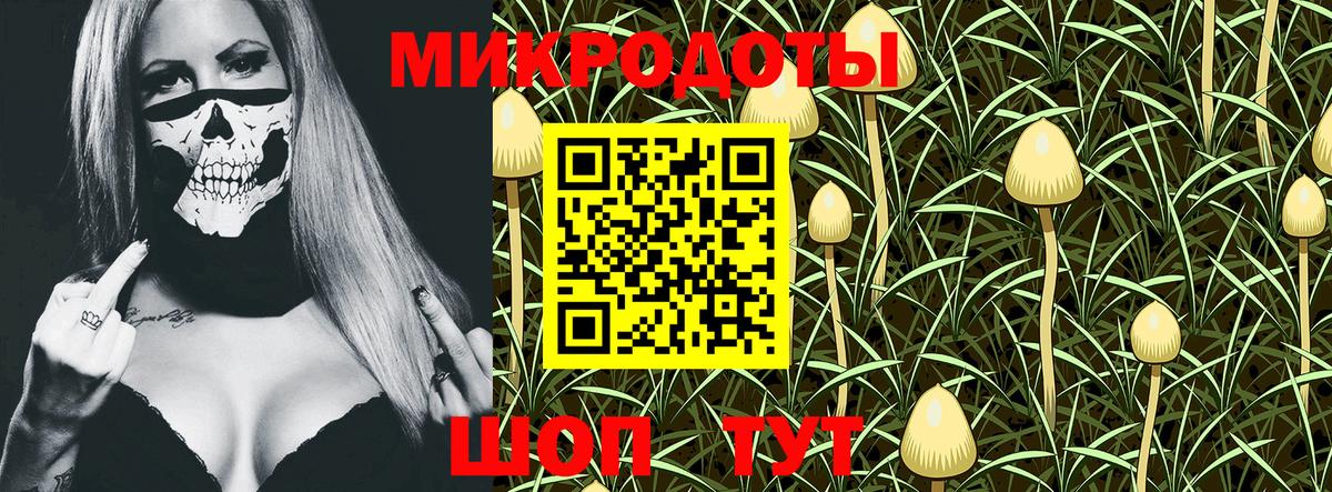 Псилоцибиновые грибы Magic Shrooms  Галлюциногенные грибы мицелий  Димитровград  Вход с VPN 